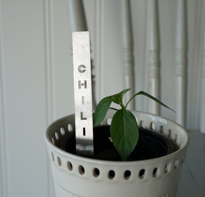Kryddpinne chili