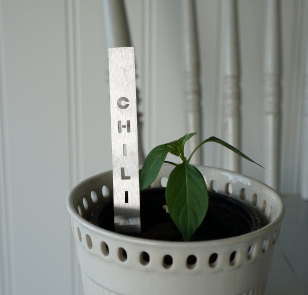 Bâton d'épices piment