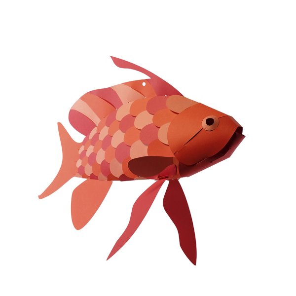 Pappfisk havsabborre