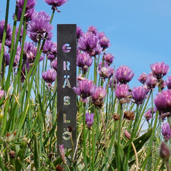 Bâton d'épices ciboulette