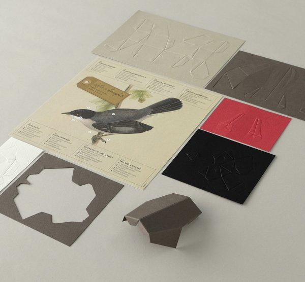 Mönchsgrasmücke Pappvogel zum selber basteln