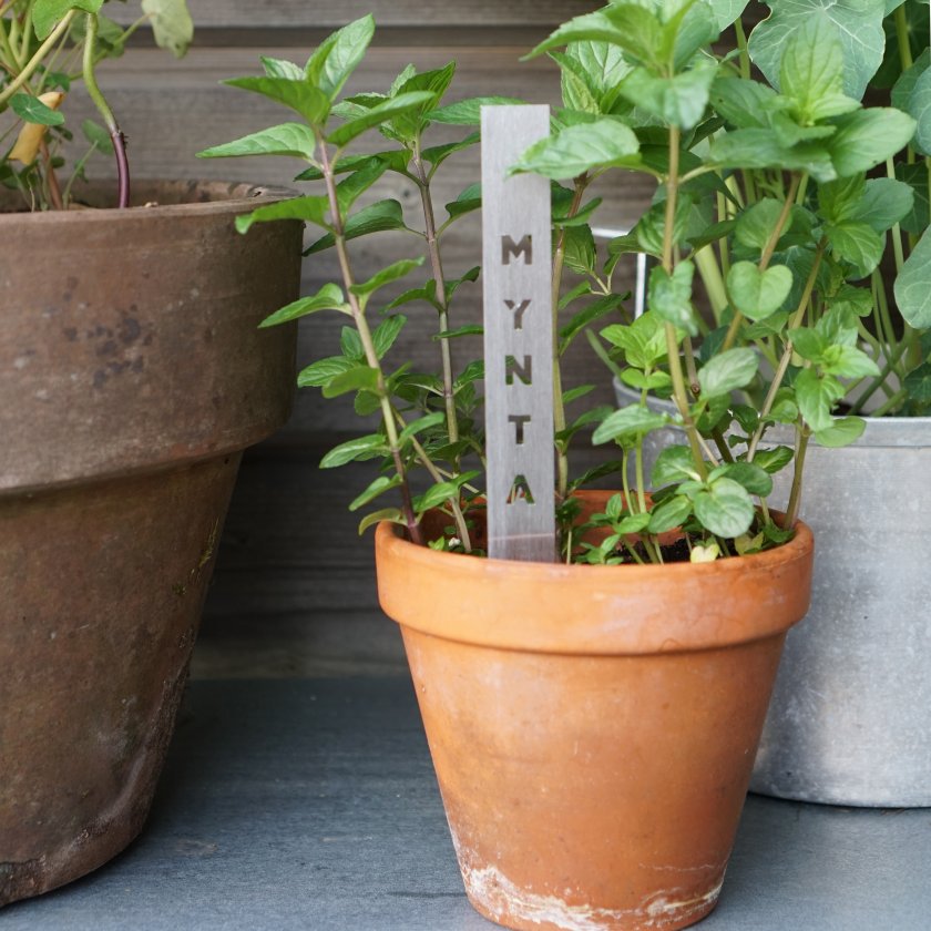 Kryddpinne med text på. finns i flera olika kryddor